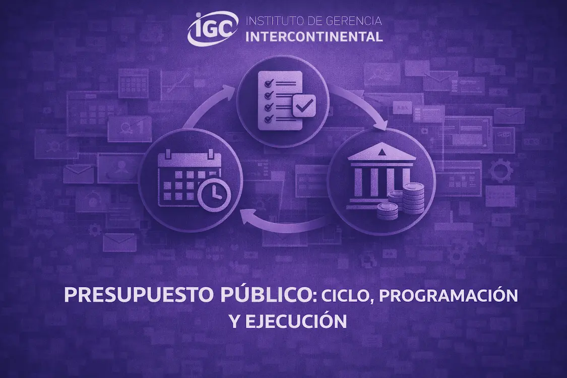 Imagen de Presupuesto Público_ Ciclo, Programación y Ejecución